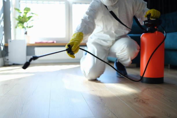 Reliable Sewage Cleanup contractor in Exeter, CA by Trauma Clean Pros